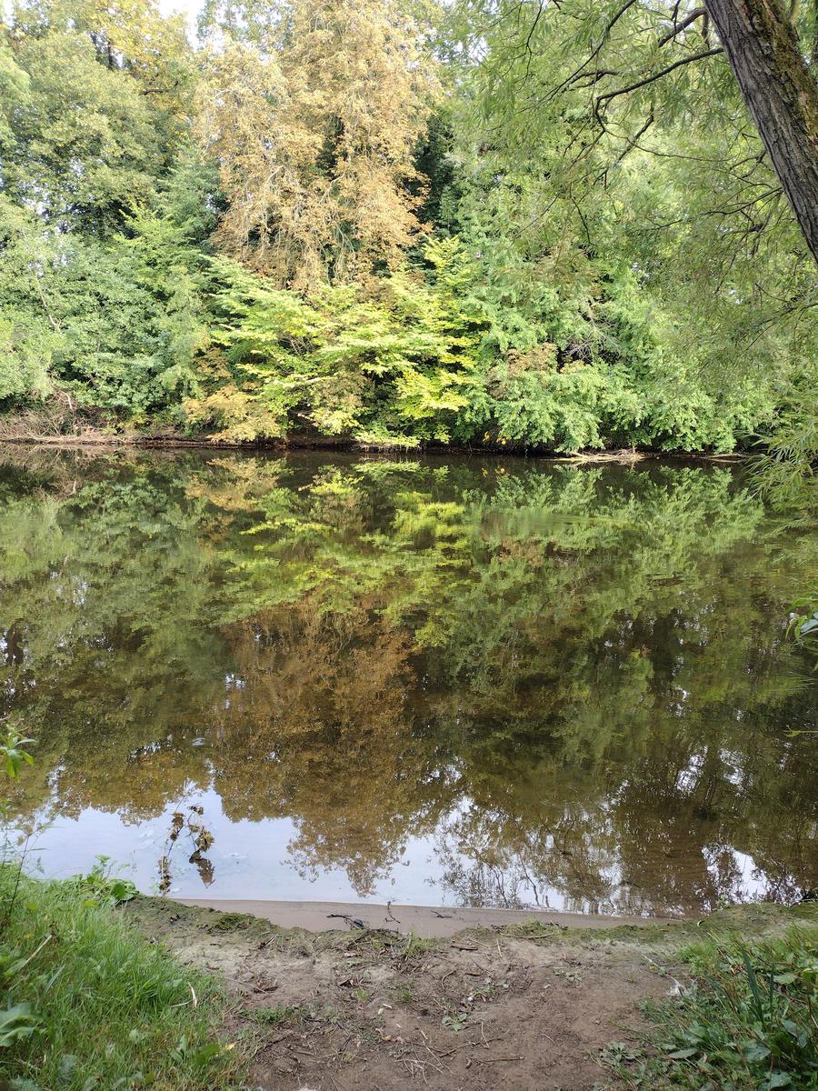 Beautiful river Trent