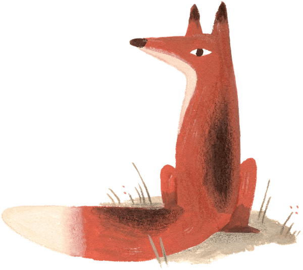 Pheasant illustration from WOOD