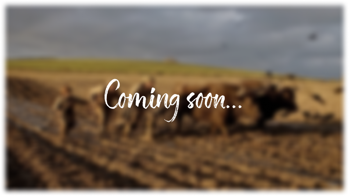 Film trailer coming soon placeholder graphic