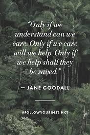 The quote says it all....