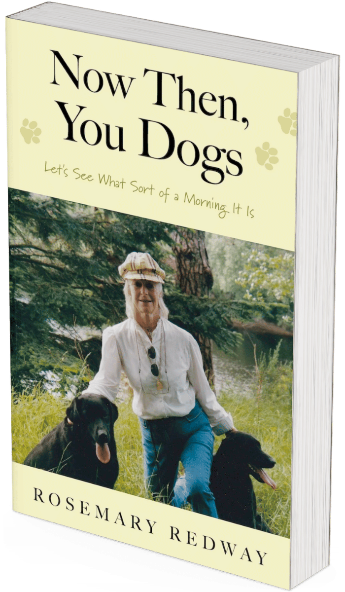 Now Then, You Dogs book cover
