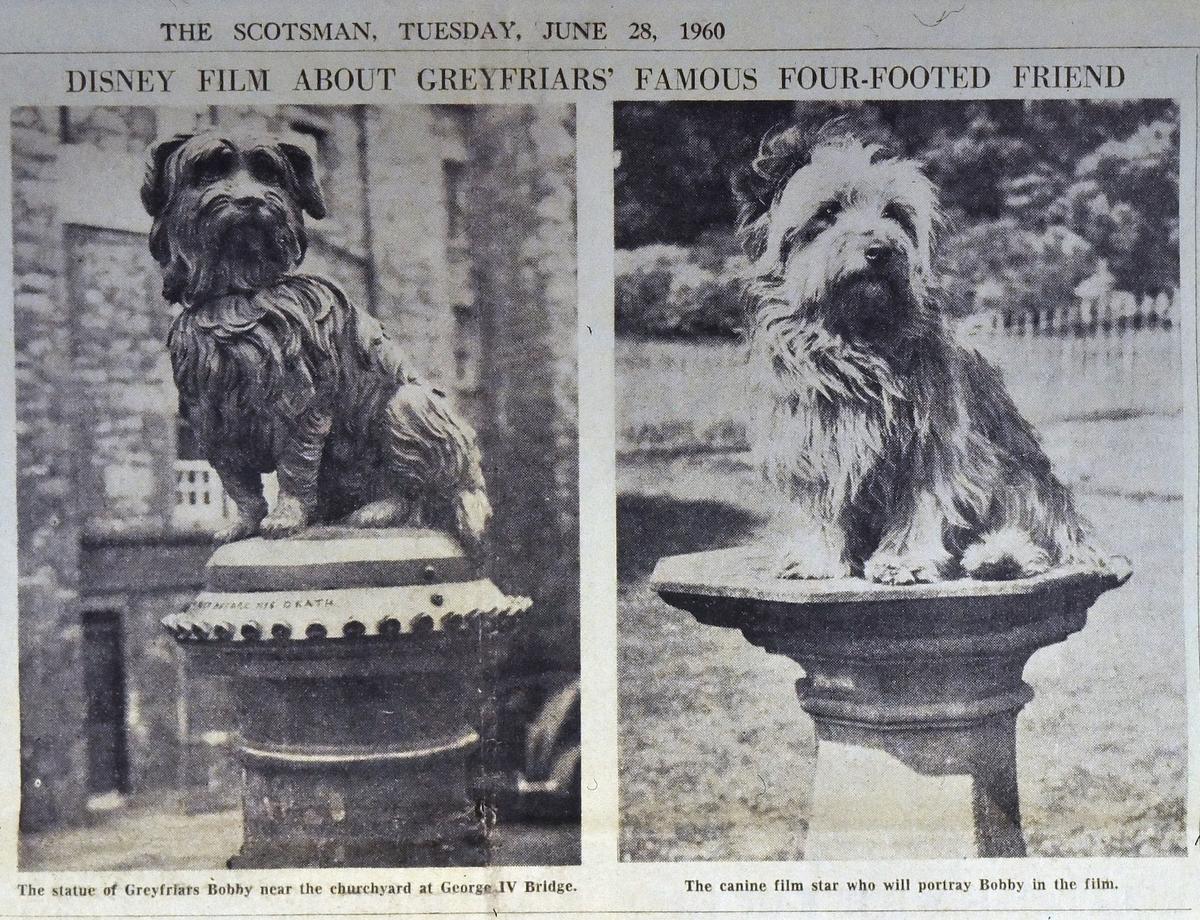 <p>Bobby is unveiled to the World at a press conference in June 1960. Placed on a stone column in a pose to mimic the famous Greyfriars Bobby statue in Edinburgh. Credit Drew Hennessey.</p>