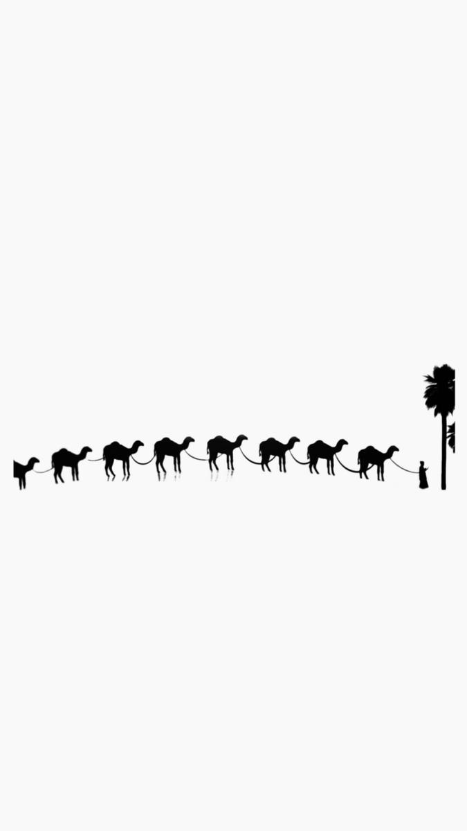 “Suddenly, we spotted a line of camels gracefully trotting along the crest of a distant dune, their silhouettes striking against the golden backdrop.“