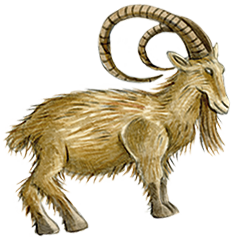 Goat graphic from The Unicorn Society book cover