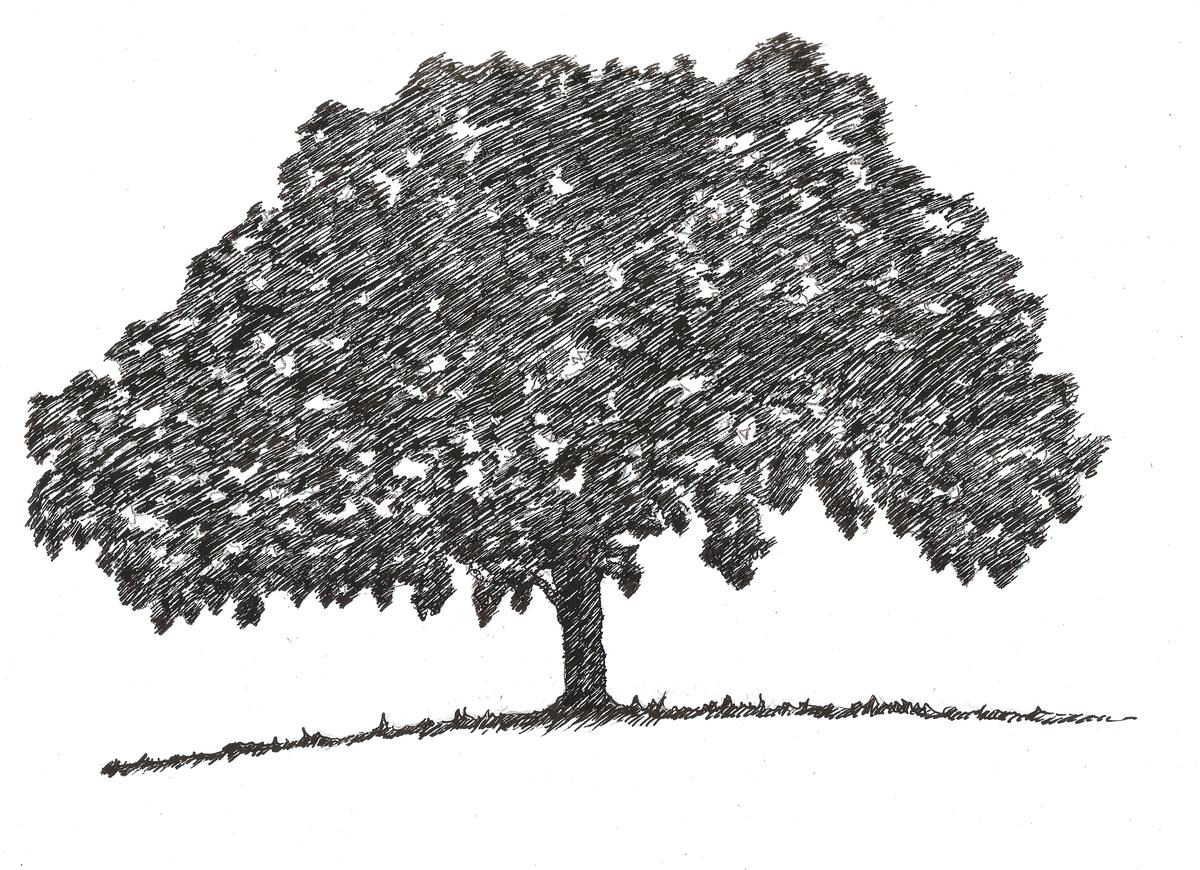 The Brotherhood of Bats roosting for the night