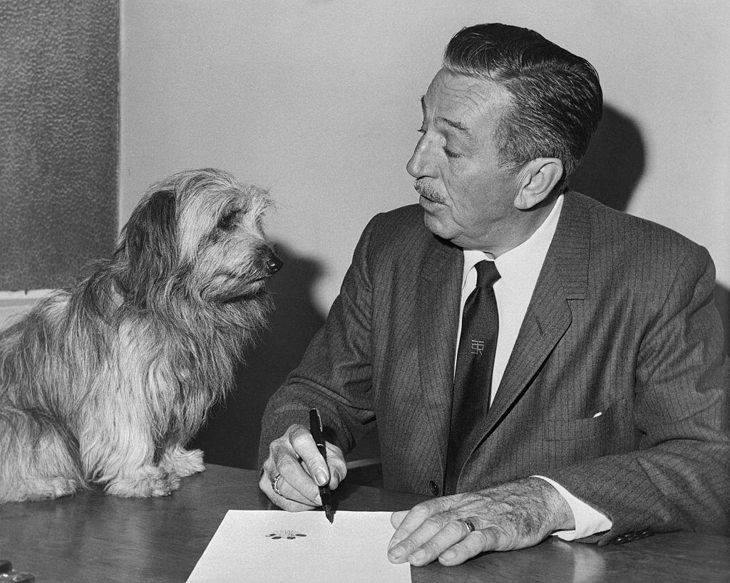 <p>Bobby with Walt Disney putting his pawmark on the film contract.</p>