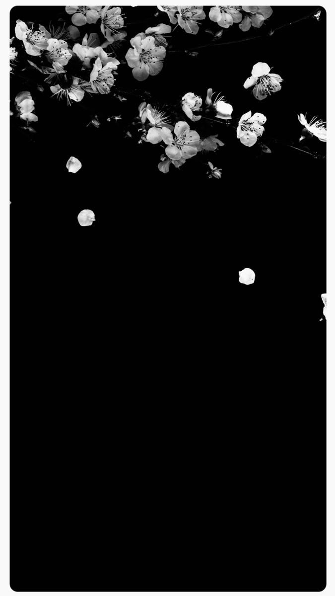 “Beside his coffin, decorated with delicate white cherry blossoms, we placed Hyakuraku kou incense, its fragrant smoke curling upwards, symbolising our prayers and wishes for his journey ahead.”