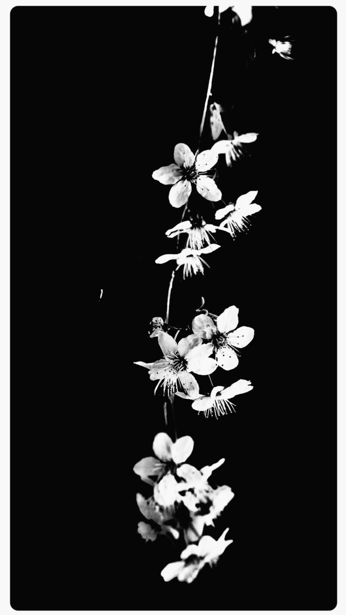 “On the spring equinox of 2002, I began to perceive performing arts as both a therapeutic endeavour and a cherished hobby, leading me to ponder my future.“