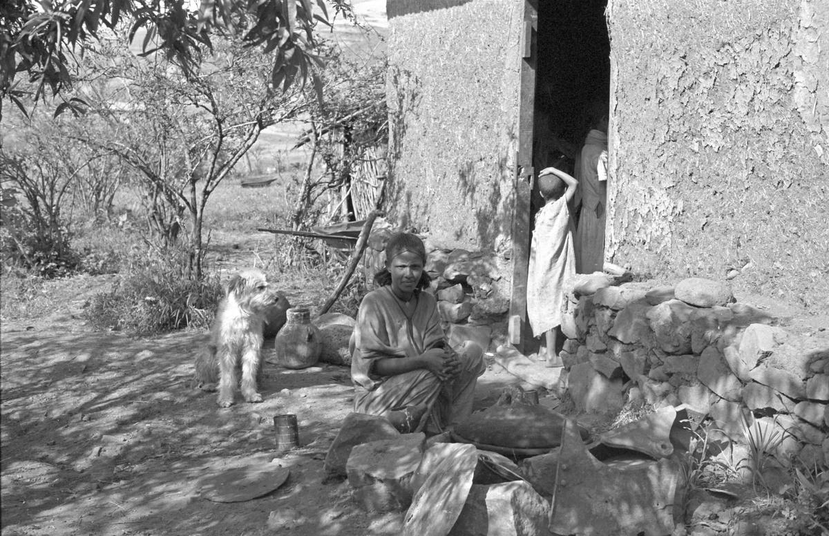 Falasha dog & family