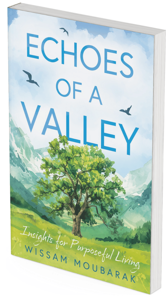 Echoes of a Valley