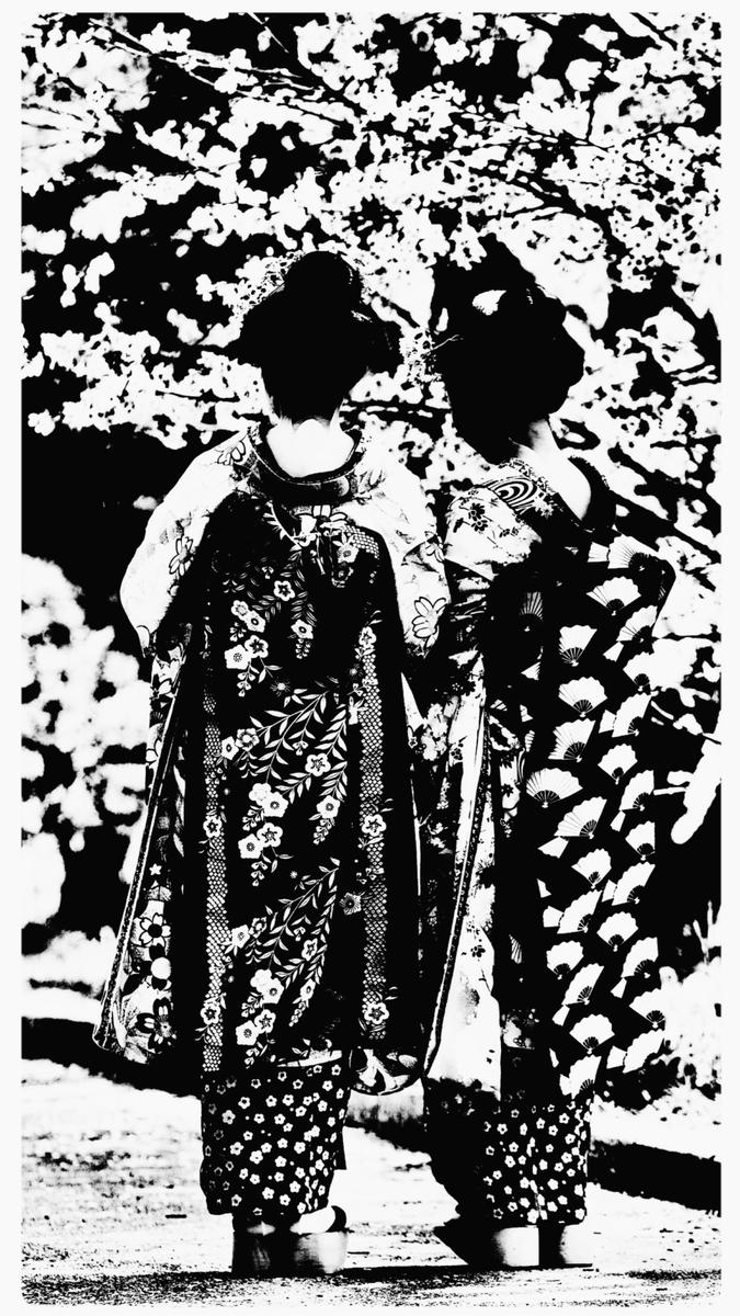 “Attending a geiko performance felt like stepping through a portal into a mysterious, magical world.“