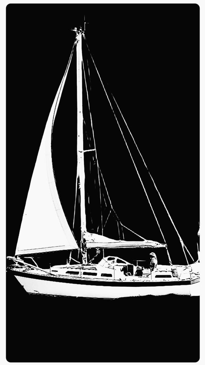 "I was settled in the back of the boat, surrounded by the gentle sound of the waves, while we were all mesmerised by the sunset."