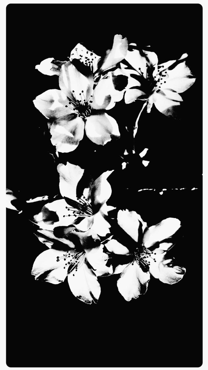 “ I turned five years old on the spring equinox of 1980.”