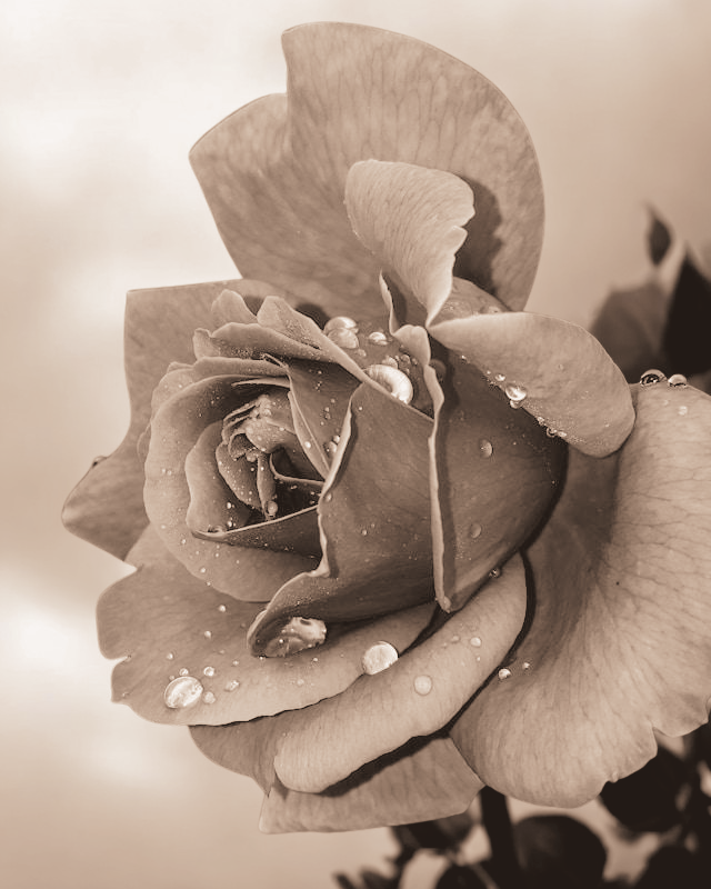 Predictably Inconsistent