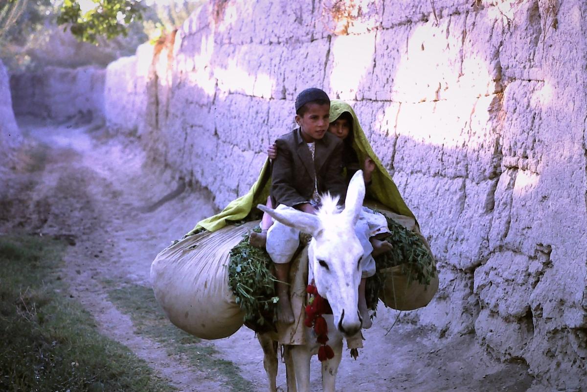 Kandahar - On way to Swimming Hole
