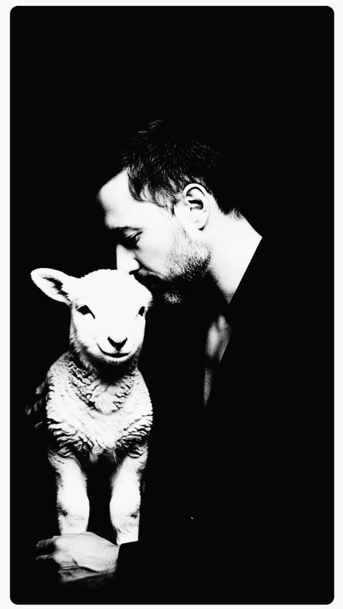 “The connection I felt with that lamb during the journey was profound, and I cherished every moment spent gazing into its captivating features, utterly mesmerised by its beauty and innocence.”