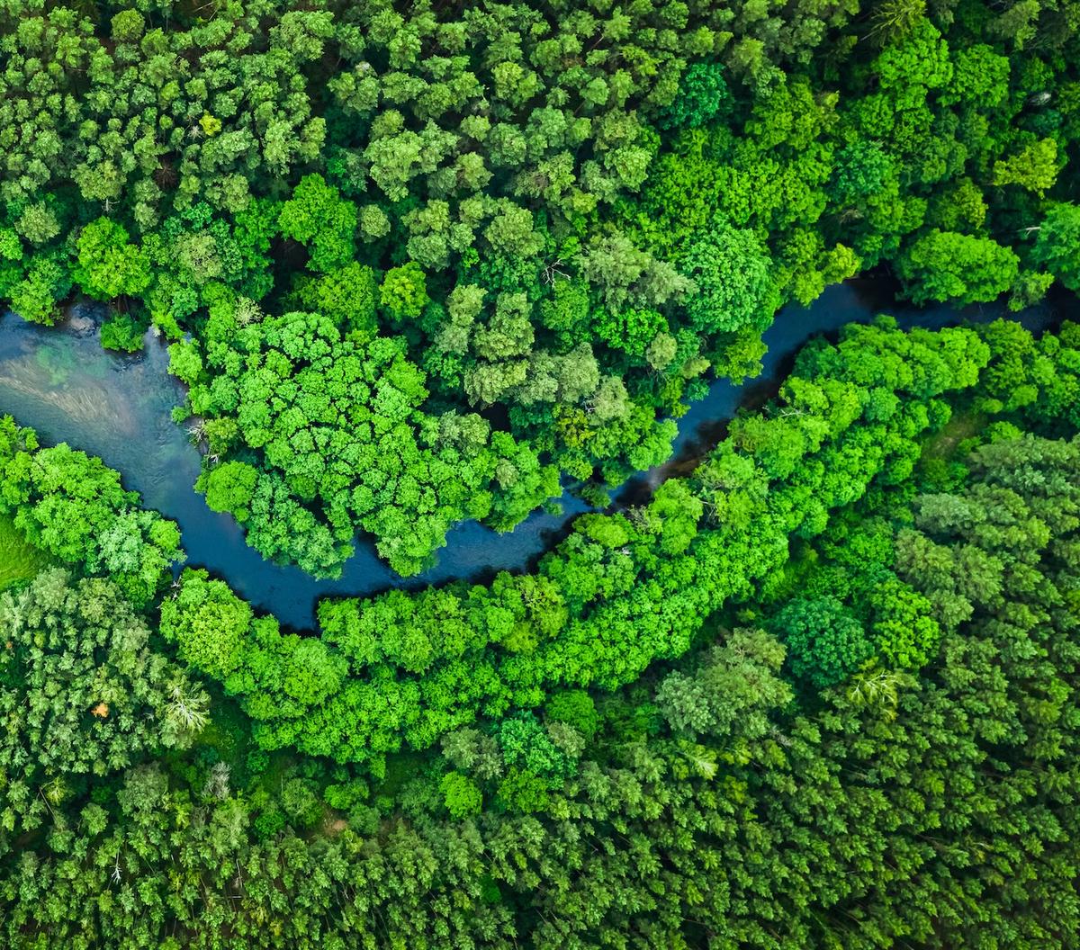 River image