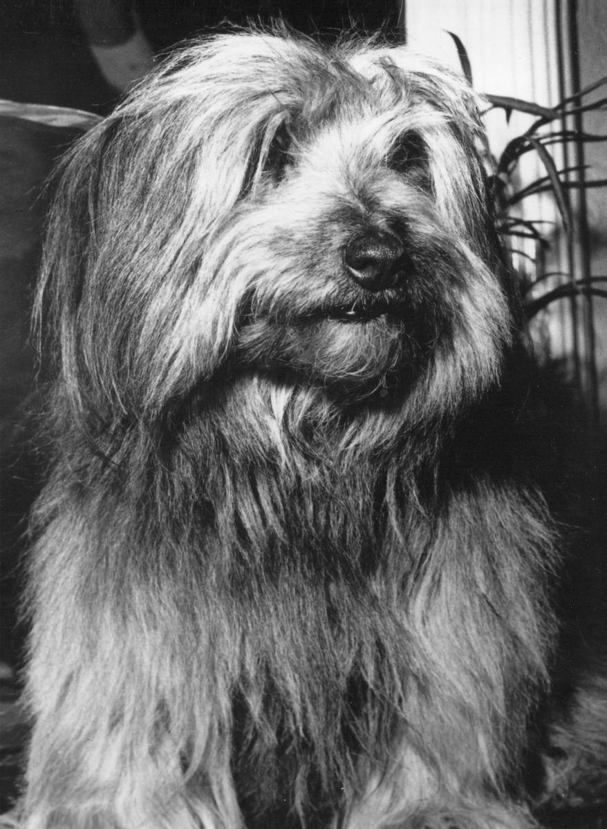 <p>One of the final family photos of Bobby taken in 1974.</p>