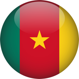 Flag of Cameroon