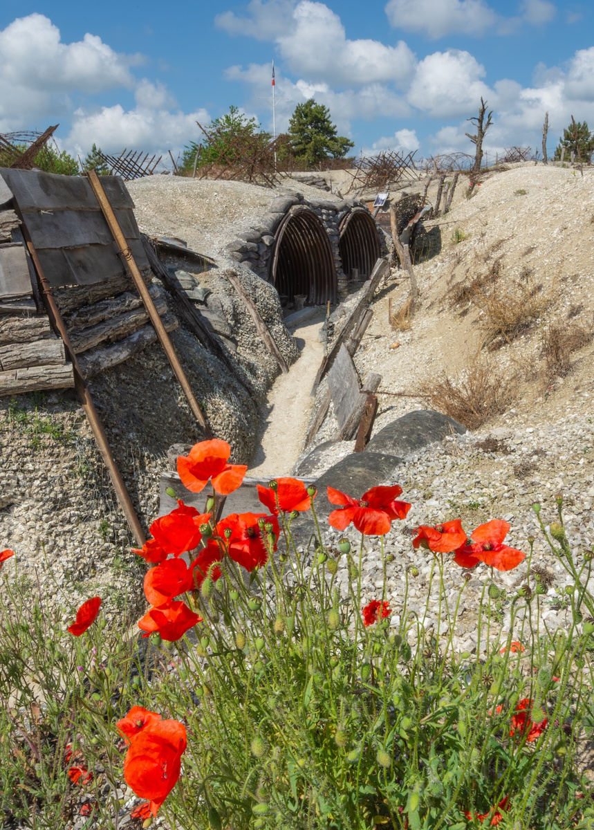 Main de Massiges: Bunkers and Poppies