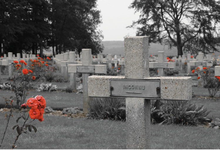 Graves at Thiepval marking the last resting place of French soldiers&nbsp;whose names are unknown (Inconnu)