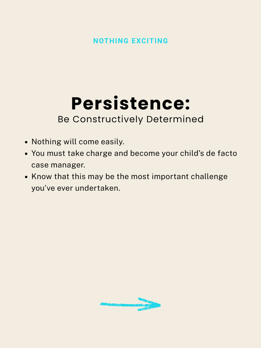 Nothing Exciting chapter graphic — Persistance