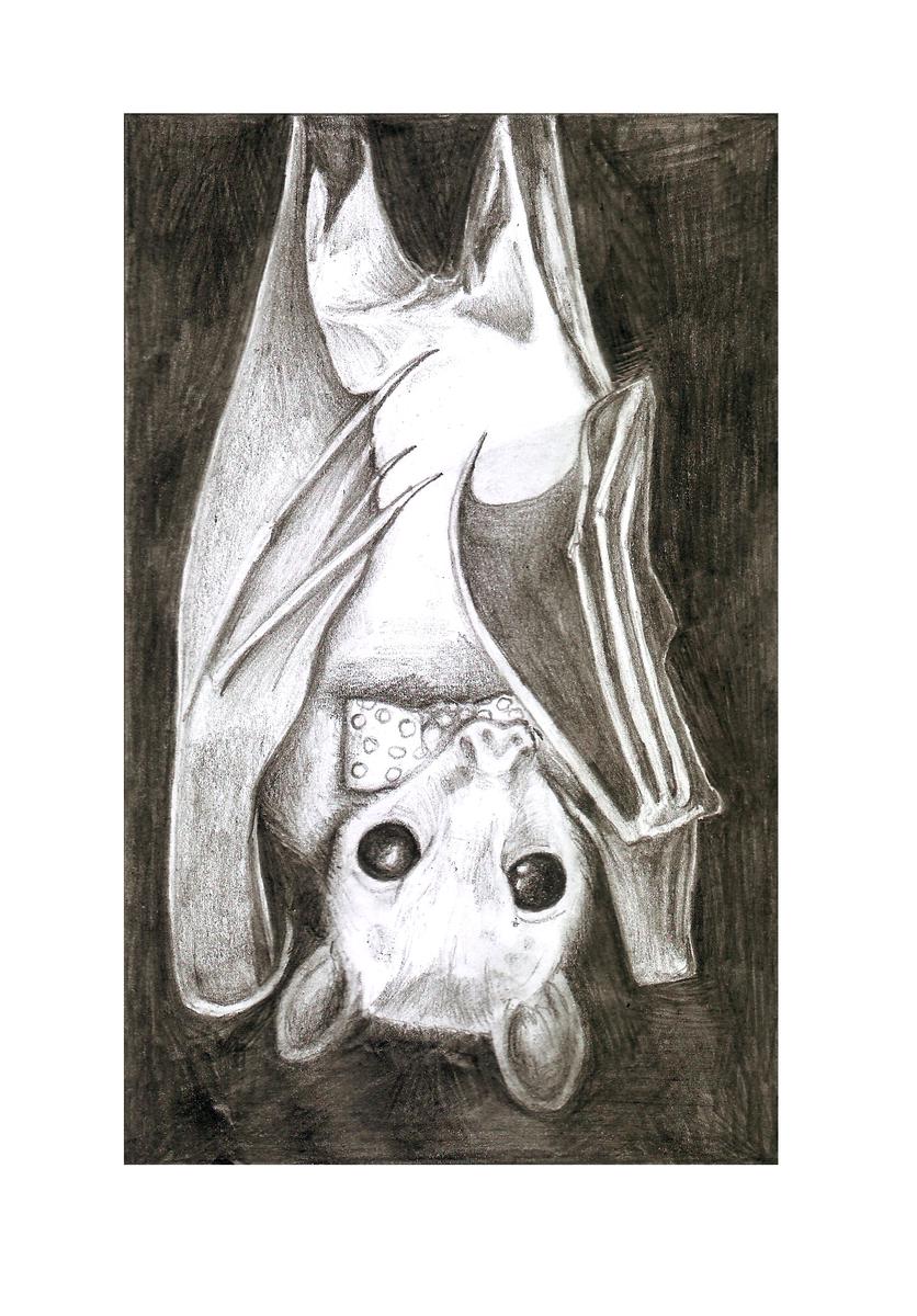 Boris - Leader of the Brotherhood of Bats