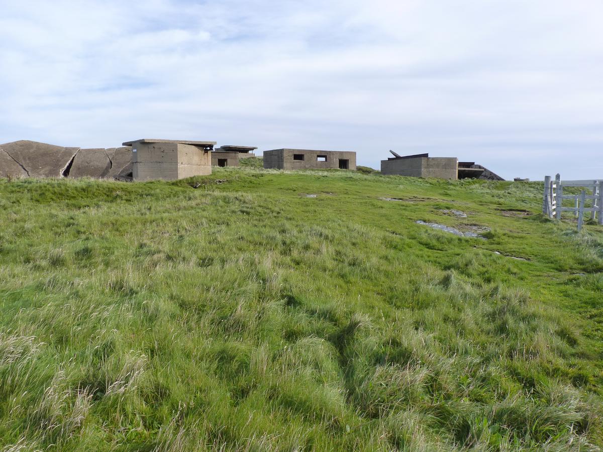 <p>Hoxa Head gun positions</p>