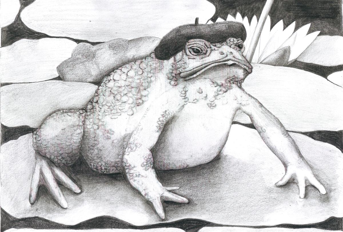 Tobias the tale Telling Toad