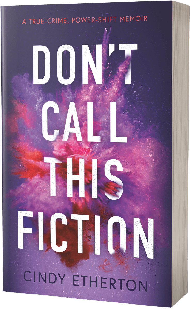 Don't Call This Fiction book cover