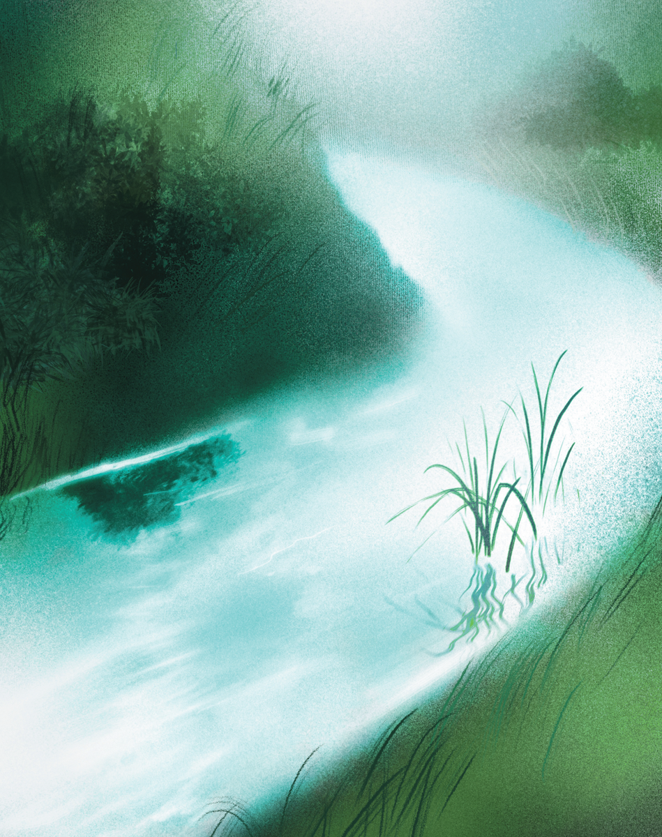 River artwork from Living Well, Living Wisely