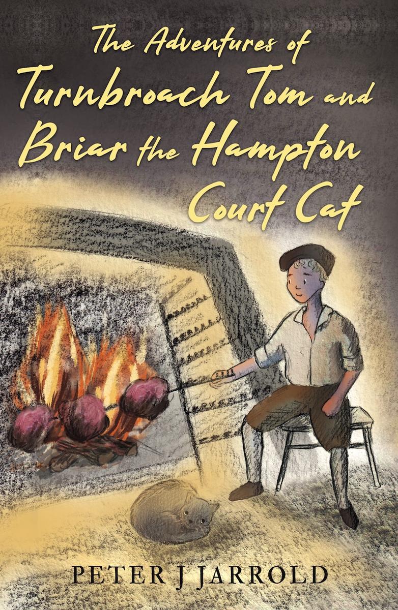 The Adventures of Turnbroach Tom and Briar the Hampton Court Cat book cover
