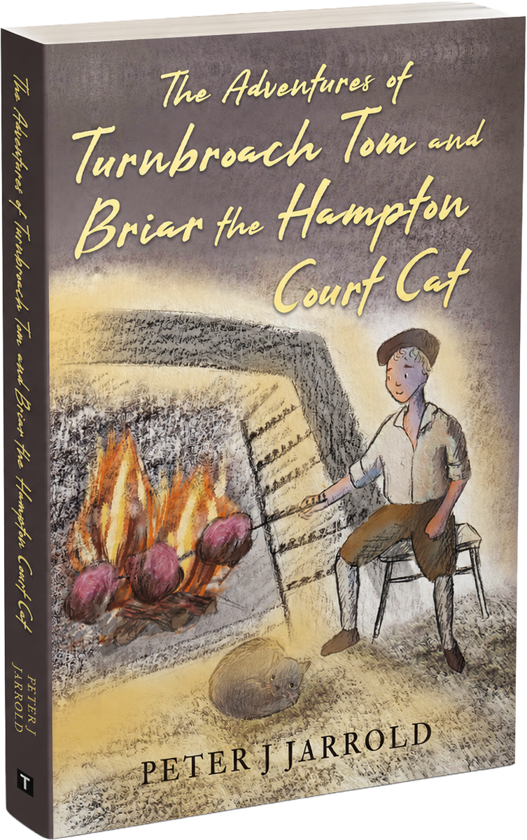 The Adventures of Turnbroach Tom and Briar the Hampton Court Cat book cover