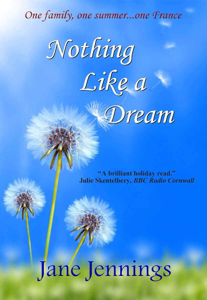 Nothing Like a Dream book cover