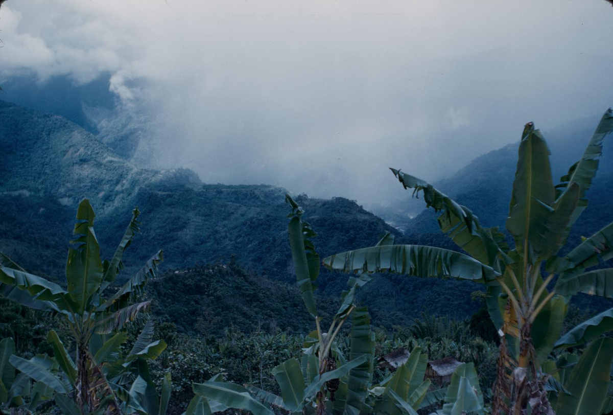Papua New Guinea, where I worked on Mission Hospitals in 1974.