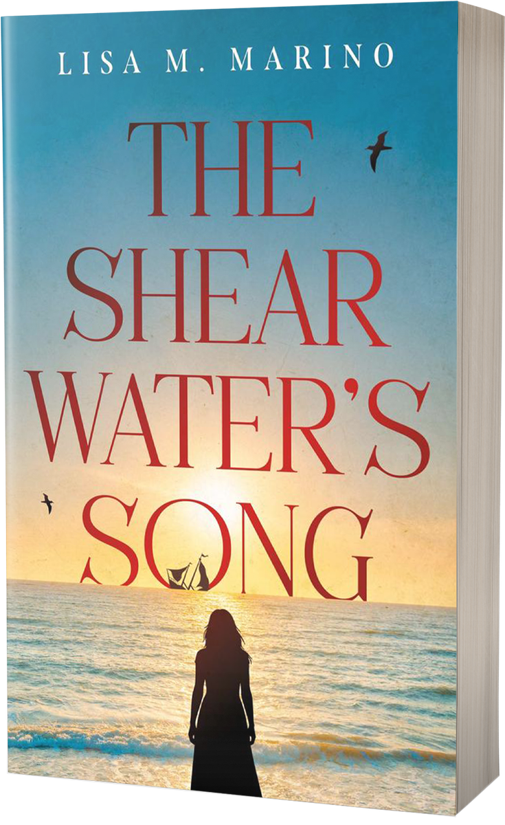 The Shearwater’s Song book cover 3D