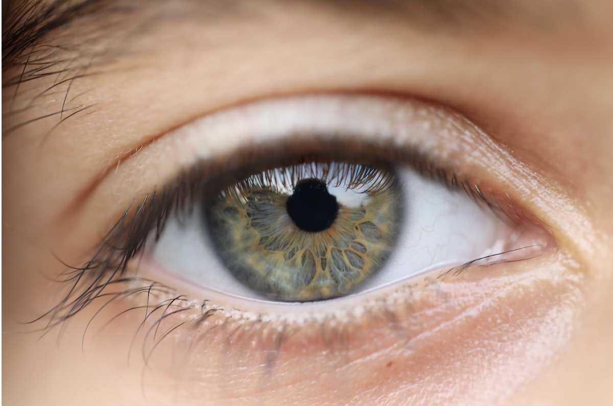 Aphantasia: A Coaching Case Study