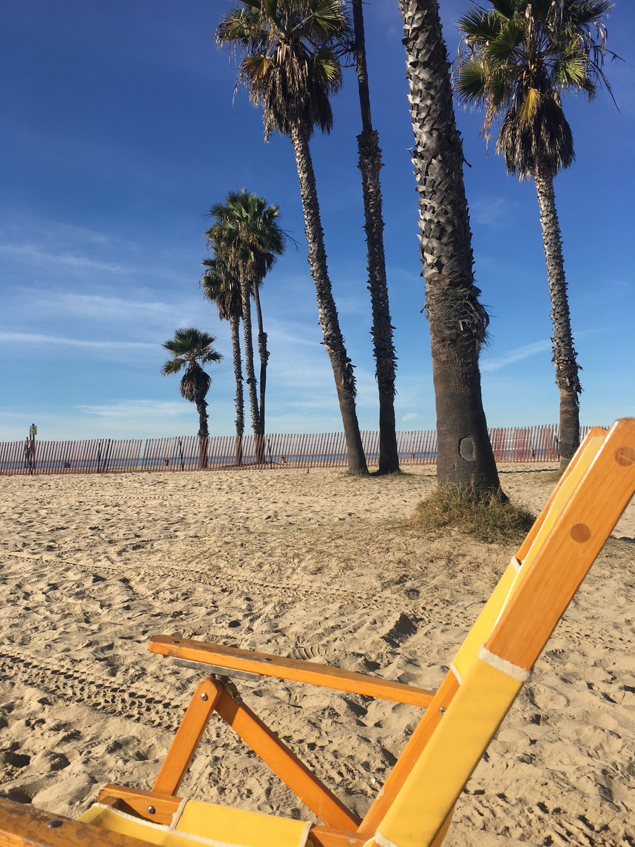 A yellow deckchair beneath palm trees on Santa Monica Beach