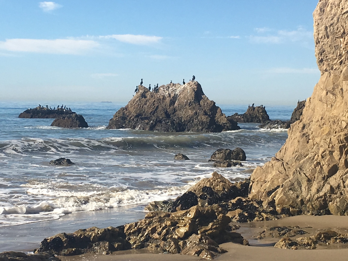 Cormorants perched on rocks off the Malibu coast