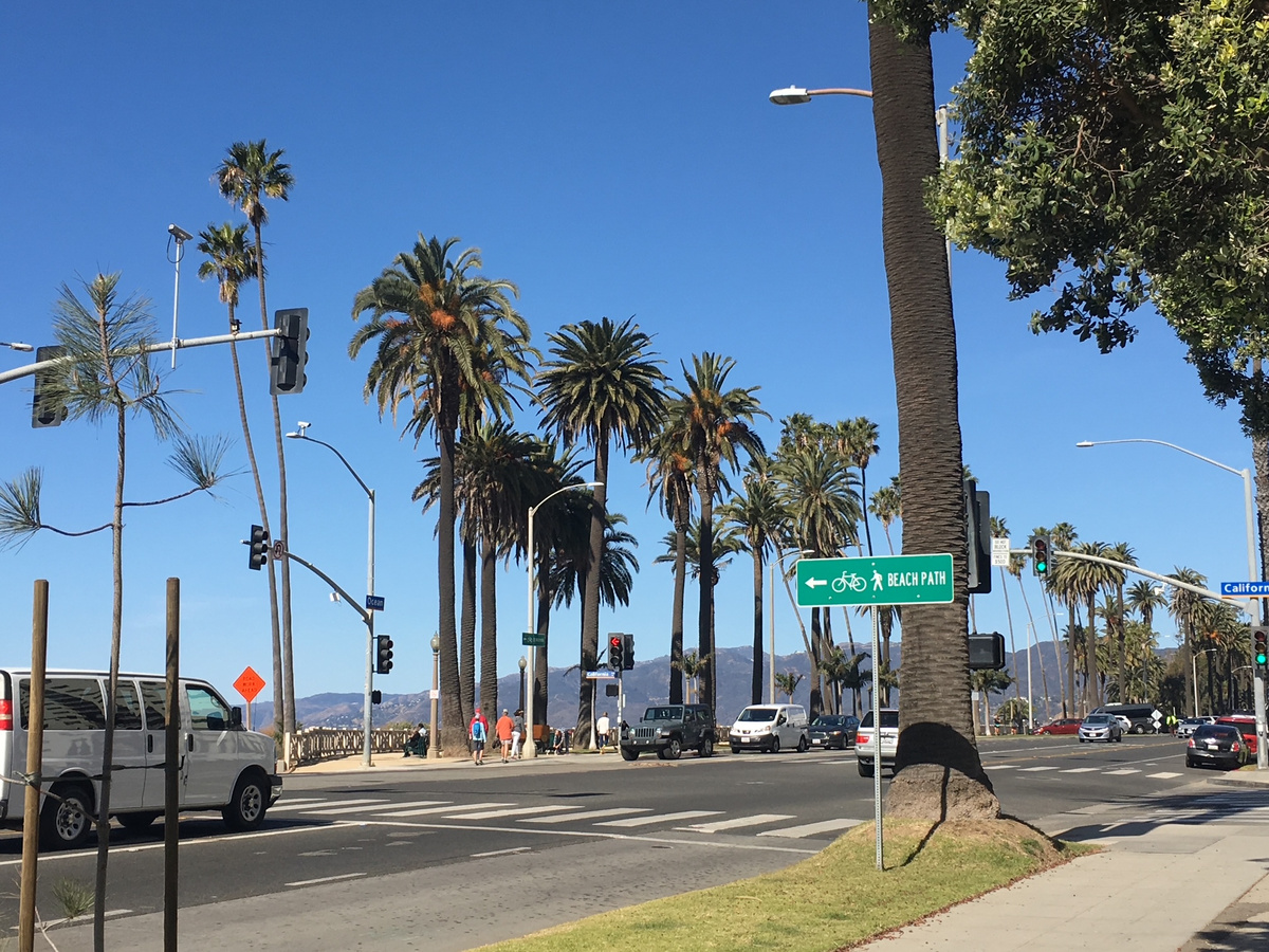 Palm trees at Ocean Avenue and California Avenue in Santa Monica