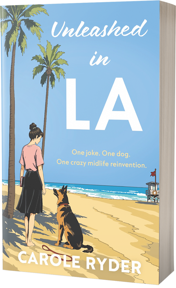 3D cover of Unleashed in LA by Carole Ryder