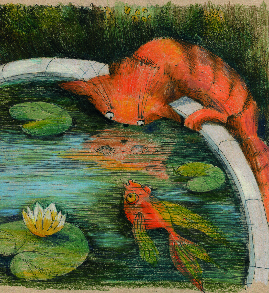 Ginger the cat beside a pond