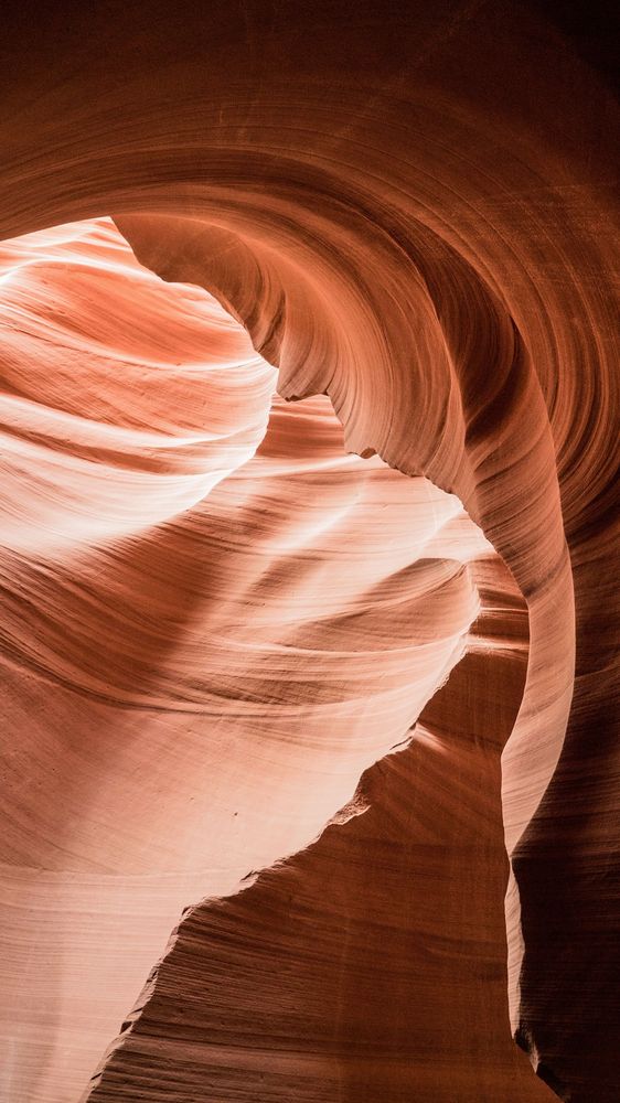 A nice desert picture